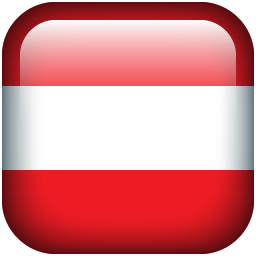 flag icon